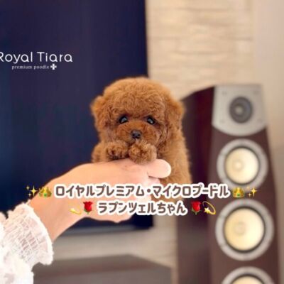 rrr