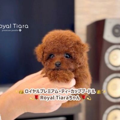rrr